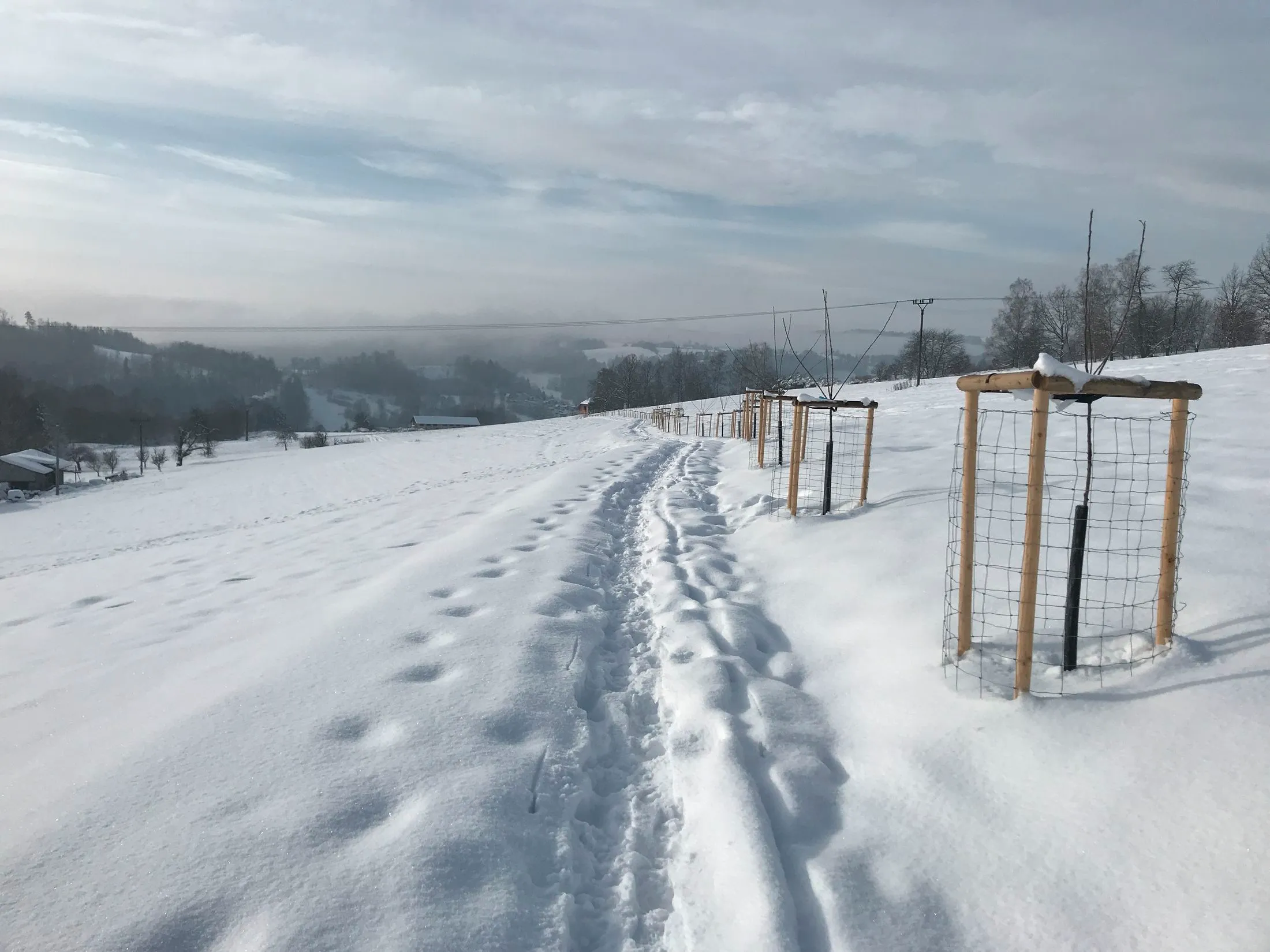Fotografie lavičky: Lavička ve Skautské aleji 3