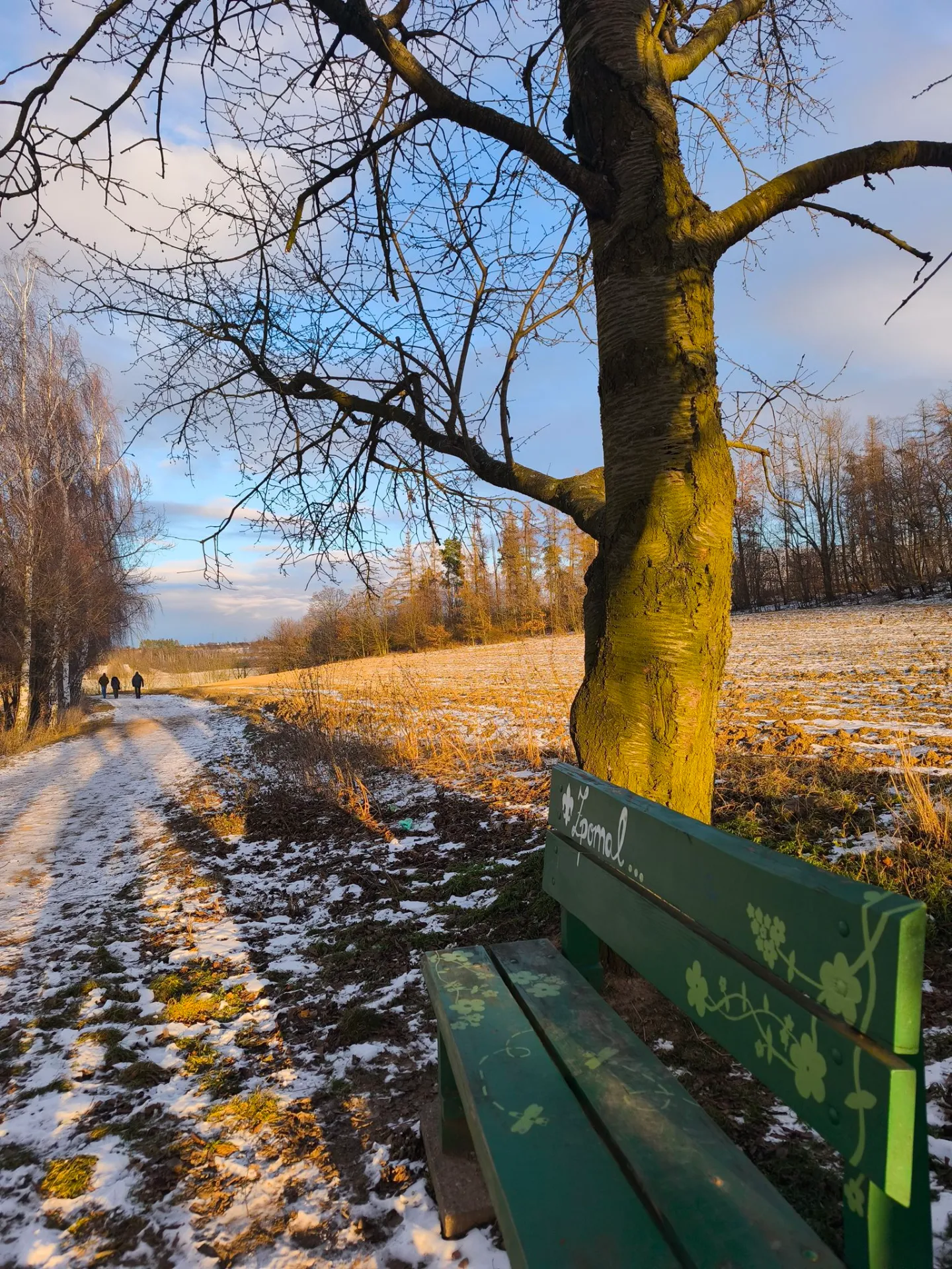 Fotografie lavičky: Lavička Zpomal - za hřbitovem