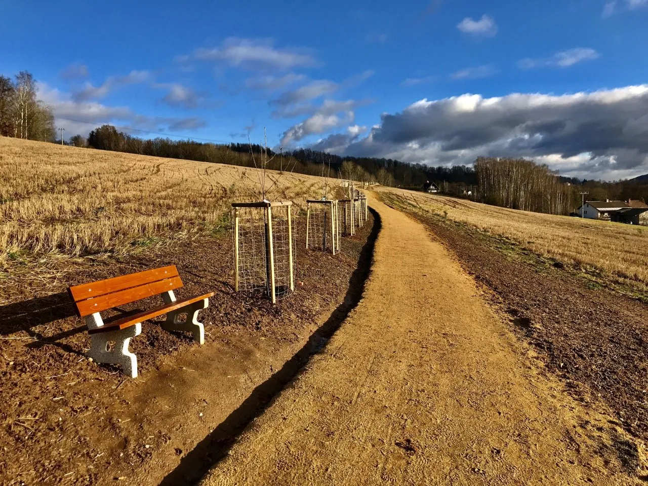 Fotografie lavičky: Lavička ve Skautské aleji 2