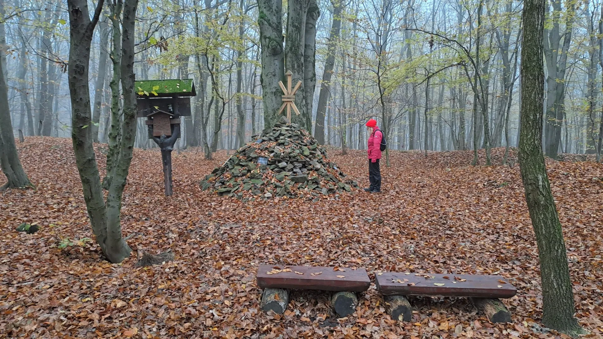 Fotografie lavičky: Lavičky u Mohyly slezských skautů