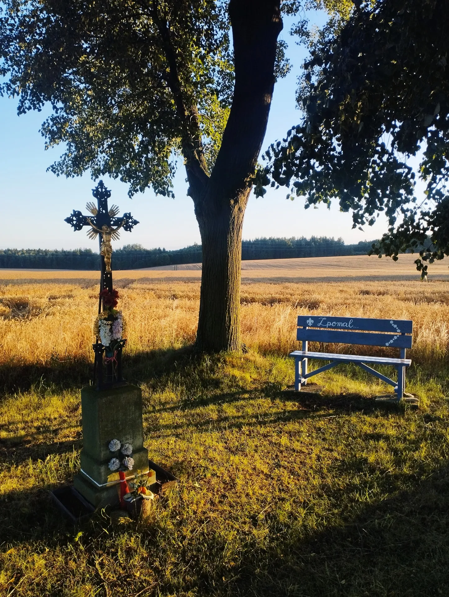 Fotografie lavičky: Lavička Zpomal - mezi Zbožnovem a Lhotou